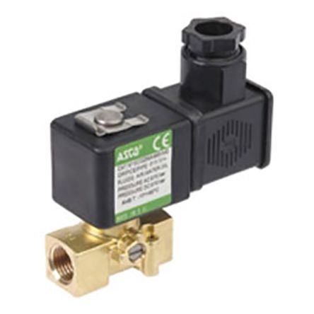 Asco SCG256A004VMS.24/50 488643