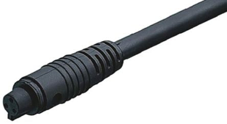 binder 79-9004-12-04 7345303