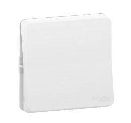 Schneider Electric MUR39723 1611294