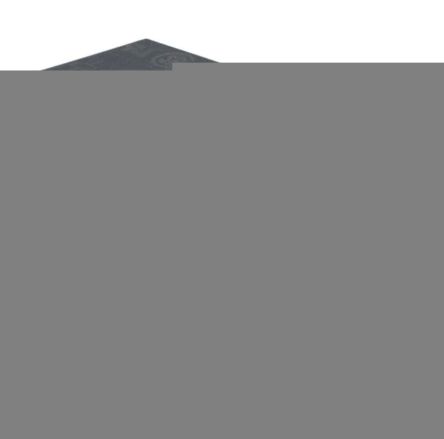 Omron G2RL-2A DC24 2132100