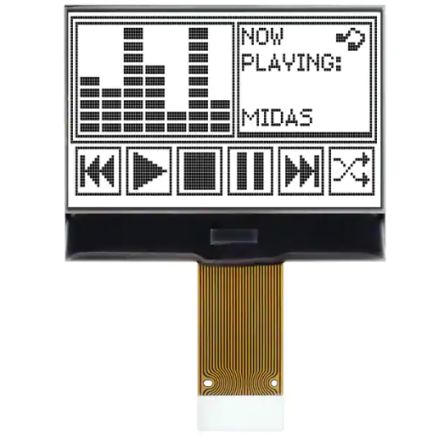 Midas MCCOG128064B12W-FPTLW 2256187