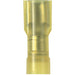 Panduit EDNF10-250FI-Q