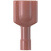 Panduit DPF18-250FIMB-L