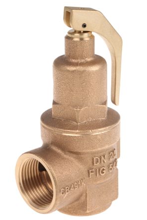Nabic Valve Safety Products N-542-025 5 BAR 3891506
