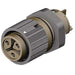 Wieland 46.031.5050.4 1442917