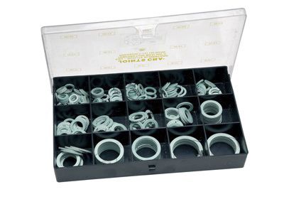 Watts 109901 1820073