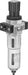 Festo LFR-1-D-5M-O-MAXI-A 2029817