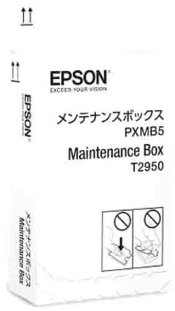 Epson C13T295000 2131548