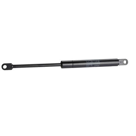 Schneider Electric NSYPLS30 2200086