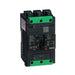 Schneider Electric BGL36100LU 2210901